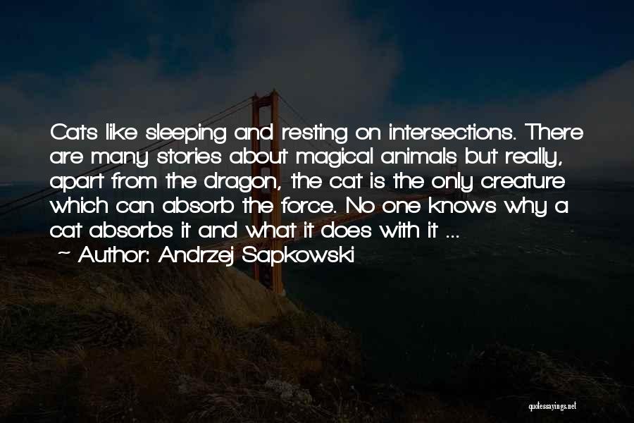 No Resting Quotes By Andrzej Sapkowski