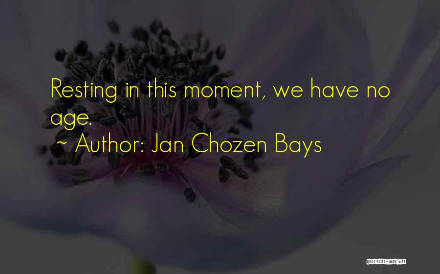 No Resting Quotes By Jan Chozen Bays