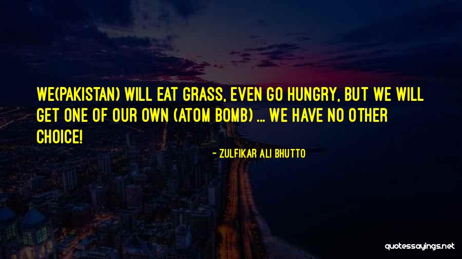 No Retaliation Quotes By Zulfikar Ali Bhutto No Retaliation Quotes By Zulfikar Ali Bhutto