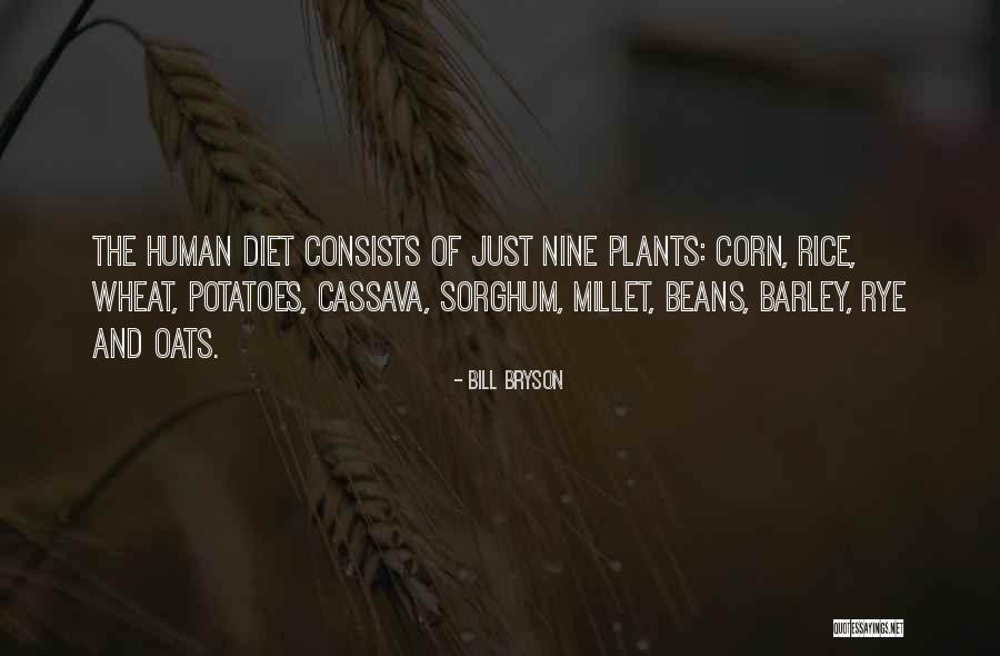 No Rice Diet Quotes By Bill Bryson No Rice Diet Quotes By Bill Bryson