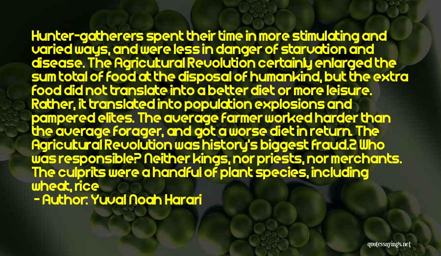 No Rice Diet Quotes By Yuval Noah Harari