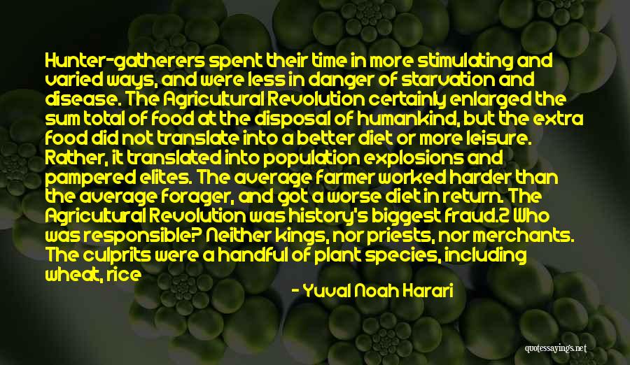 No Rice Diet Quotes By Yuval Noah Harari