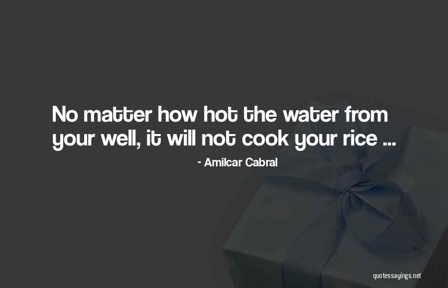No Rice Quotes By Amilcar Cabral No Rice Quotes By Amilcar Cabral