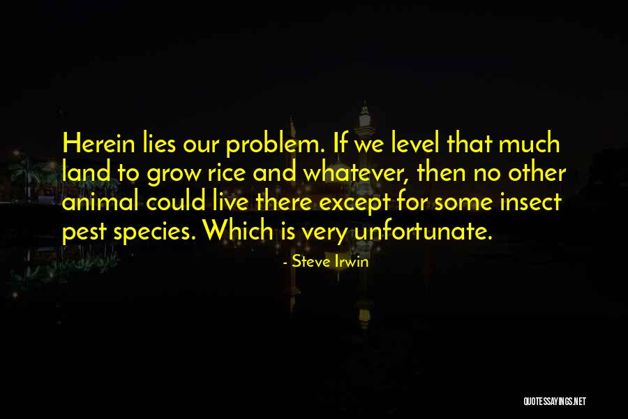 No Rice Quotes By Steve Irwin No Rice Quotes By Steve Irwin