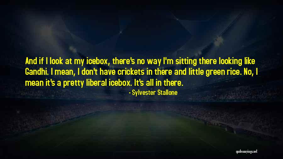 No Rice Quotes By Sylvester Stallone No Rice Quotes By Sylvester Stallone