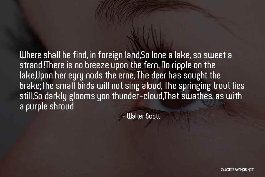 No Ripple Quotes By Walter Scott No Ripple Quotes By Walter Scott