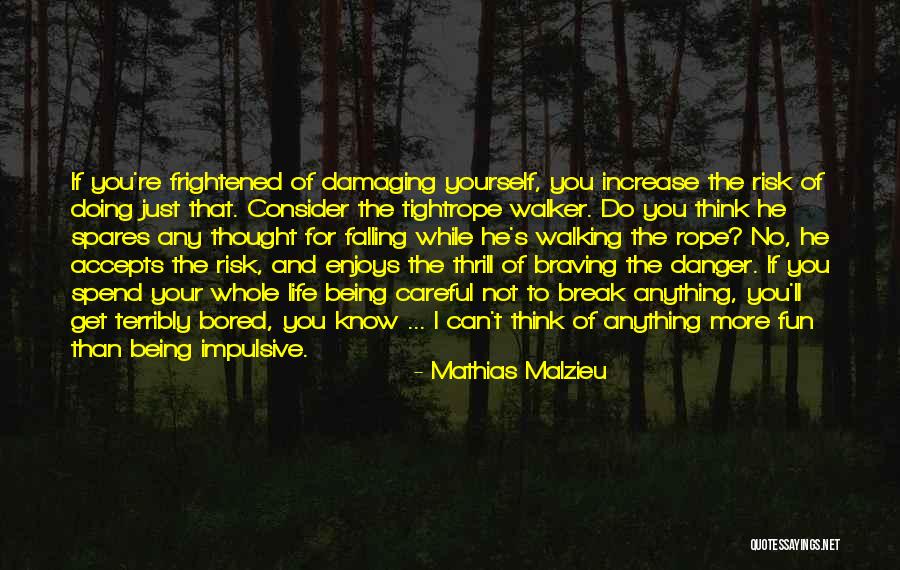 No Risk No Fun Quotes By Mathias Malzieu No Risk No Fun Quotes By Mathias Malzieu