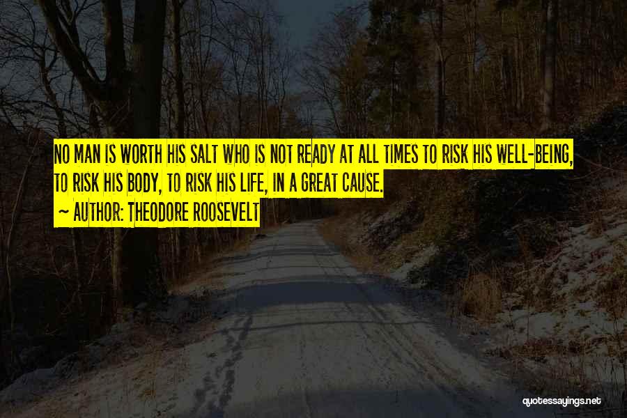 No Salt Quotes By Theodore Roosevelt