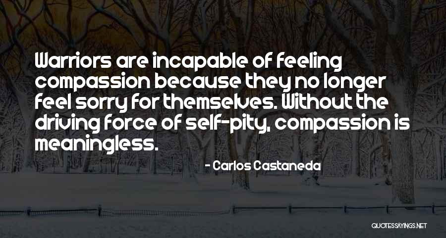 No Self Pity Quotes By Carlos Castaneda No Self Pity Quotes By Carlos Castaneda