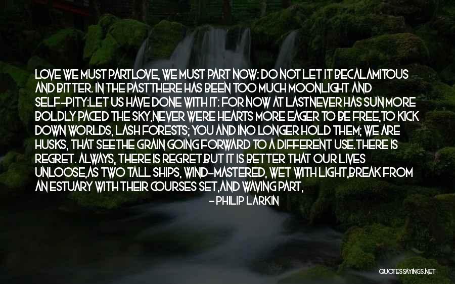 No Self Pity Quotes By Philip Larkin No Self Pity Quotes By Philip Larkin