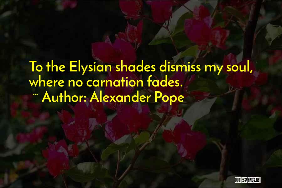 No Shade Quotes By Alexander Pope