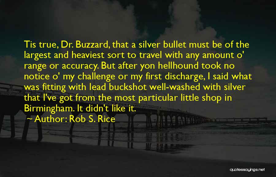 No Silver Bullet Quotes By Rob S. Rice