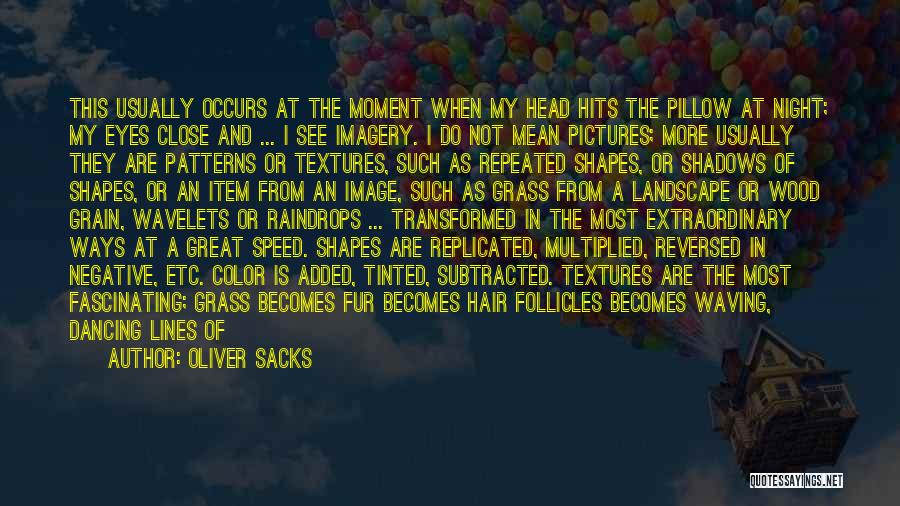 No Sleep Image Quotes By Oliver Sacks