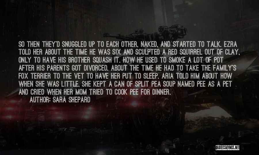 No Sleep Mom Quotes By Sara Shepard