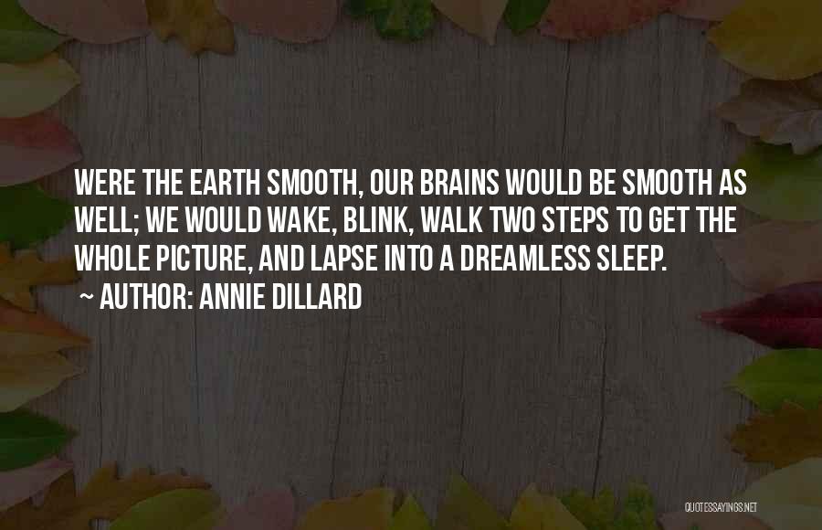 No Sleep Picture Quotes By Annie Dillard