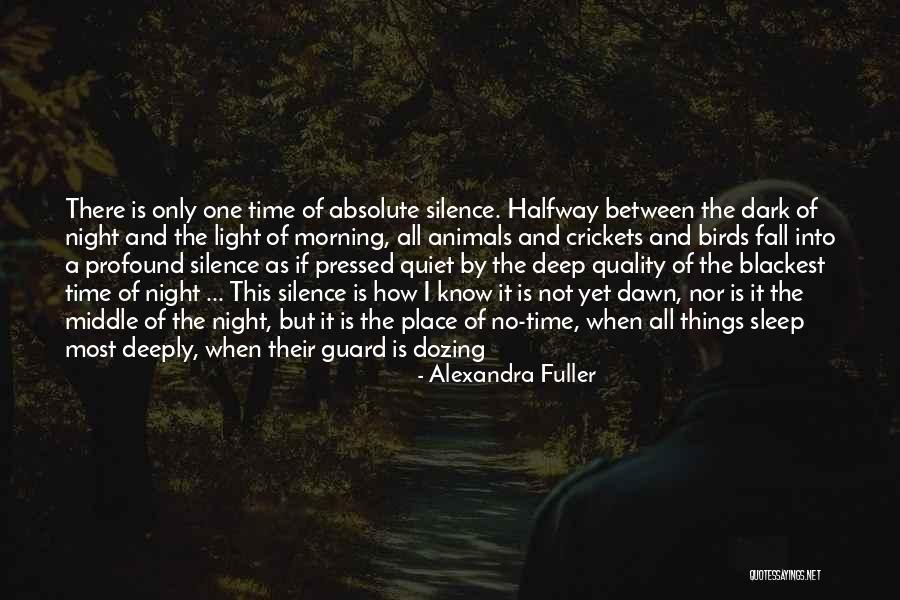 No Sleep Yet Quotes By Alexandra Fuller