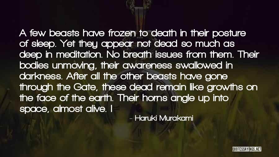 No Sleep Yet Quotes By Haruki Murakami