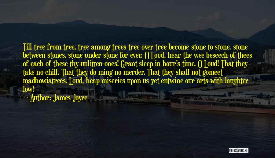 No Sleep Yet Quotes By James Joyce