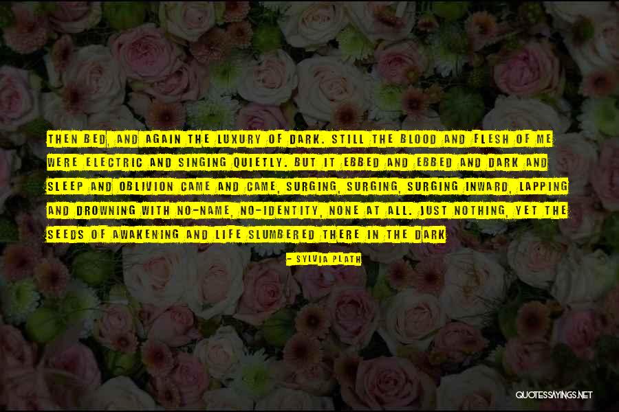 No Sleep Yet Quotes By Sylvia Plath No Sleep Yet Quotes By Sylvia Plath