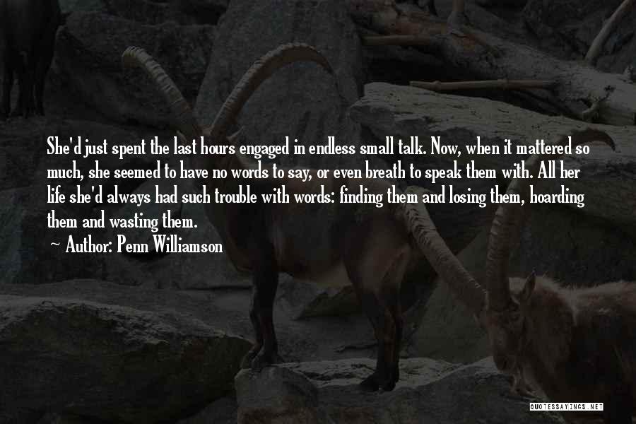 No Small Talk Quotes By Penn Williamson