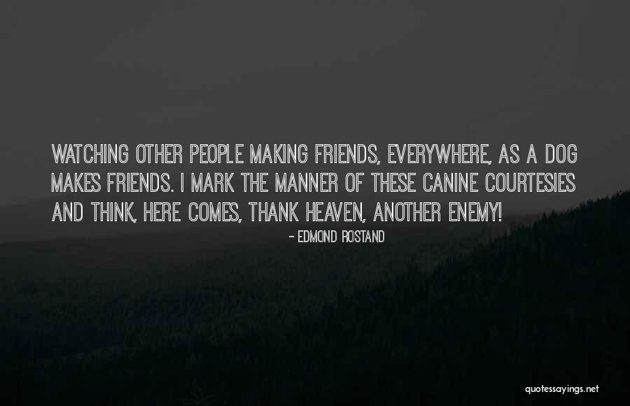 No Sorry No Thank You In Friendship Quotes By Edmond Rostand