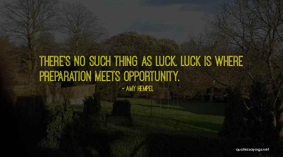 No Such Thing As Luck Quotes By Amy Hempel