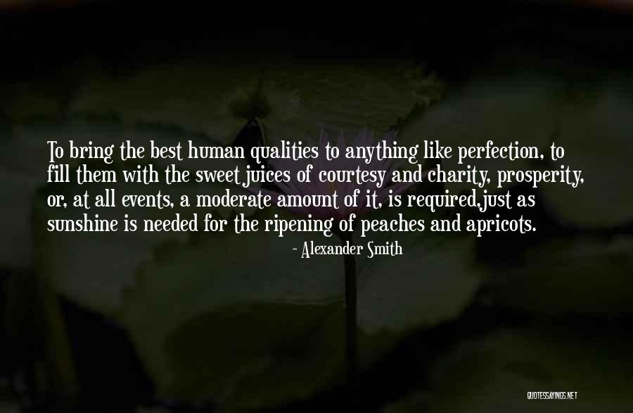 No Such Thing As Perfection Quotes By Alexander Smith