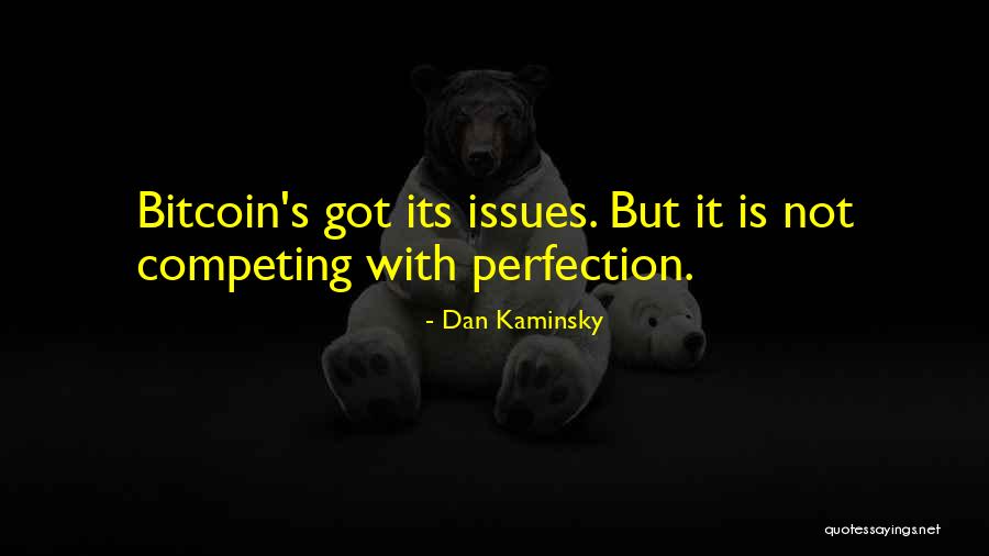 No Such Thing As Perfection Quotes By Dan Kaminsky