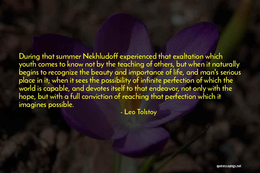 No Such Thing As Perfection Quotes By Leo Tolstoy