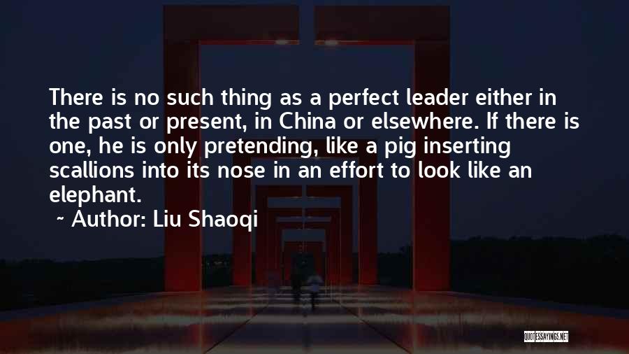 No Such Thing Perfect Quotes By Liu Shaoqi