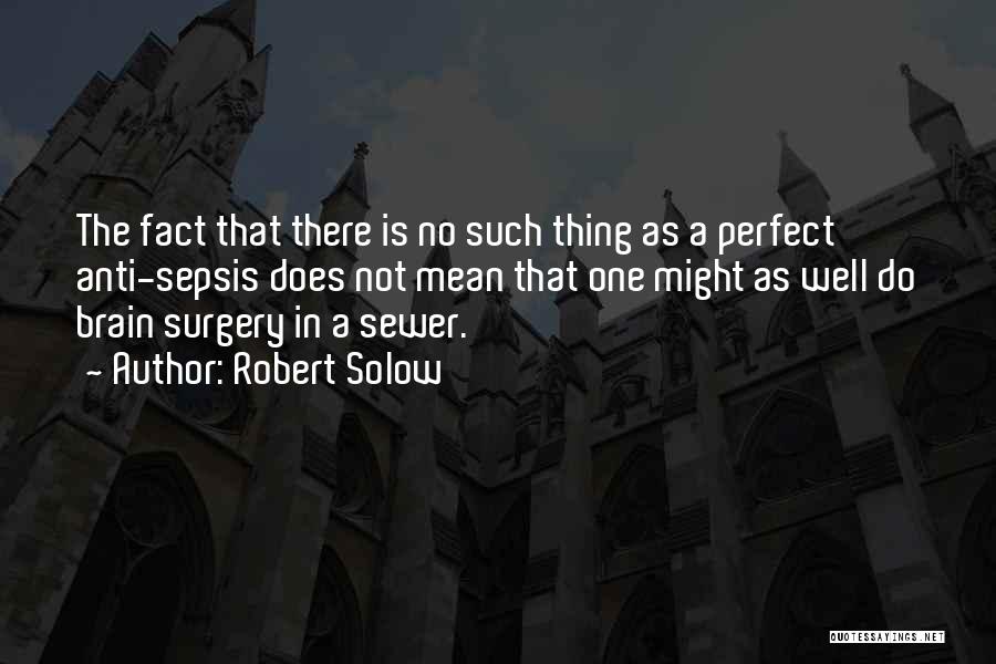 No Such Thing Perfect Quotes By Robert Solow