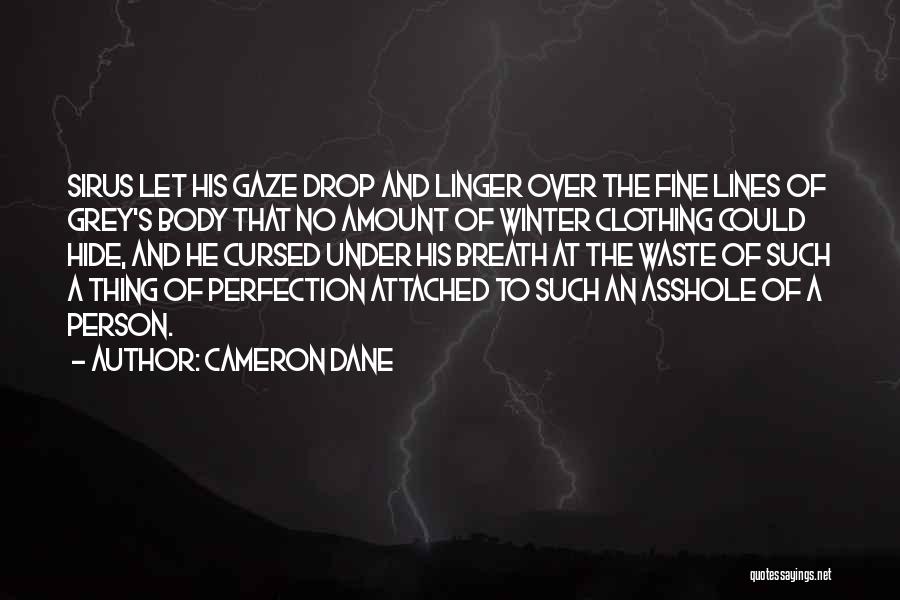 No Such Thing Perfection Quotes By Cameron Dane