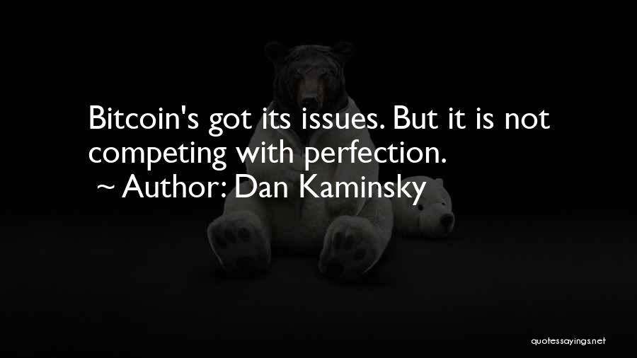 No Such Thing Perfection Quotes By Dan Kaminsky