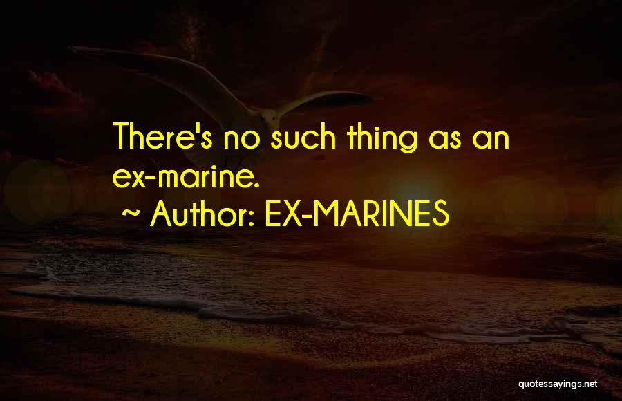 No Such Thing Quotes By EX-MARINES