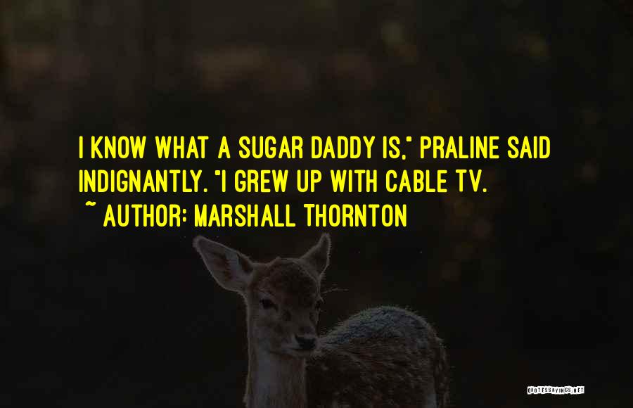 No Sugar Daddy Quotes By Marshall Thornton