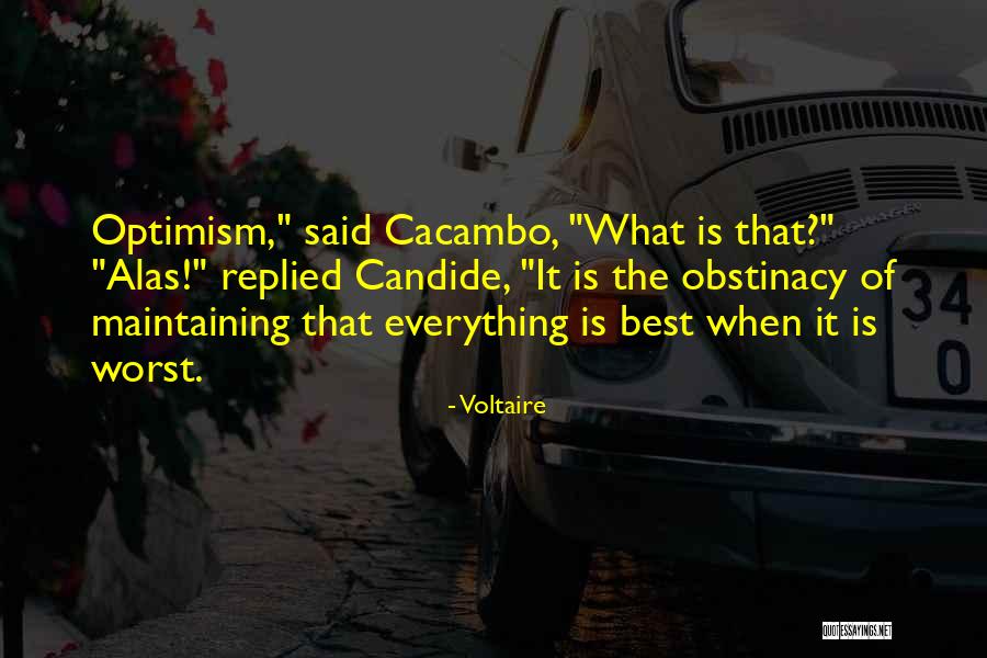 No Te Desesperes Quotes By Voltaire No Te Desesperes Quotes By Voltaire