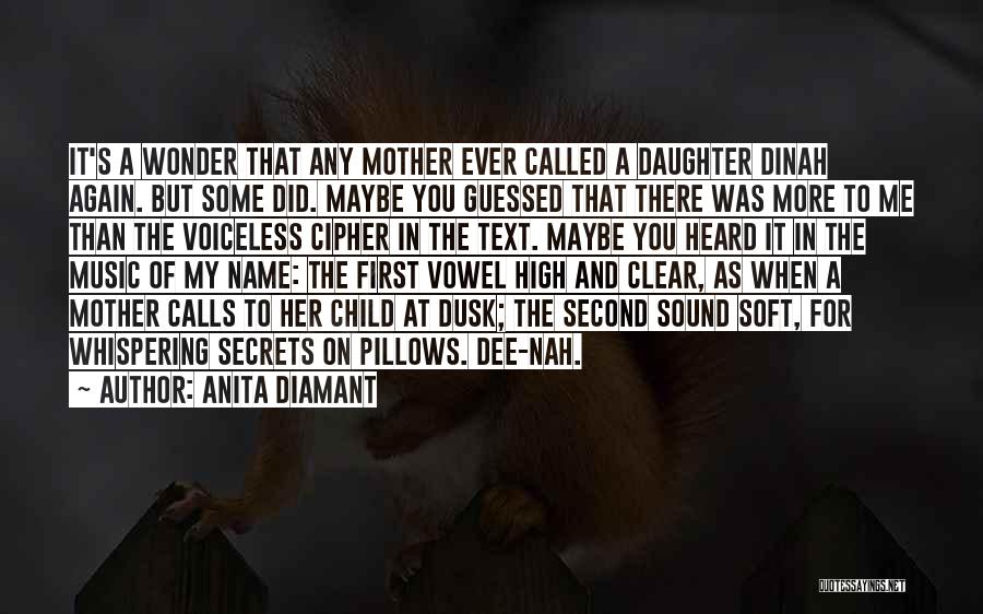 No Text No Calls Quotes By Anita Diamant
