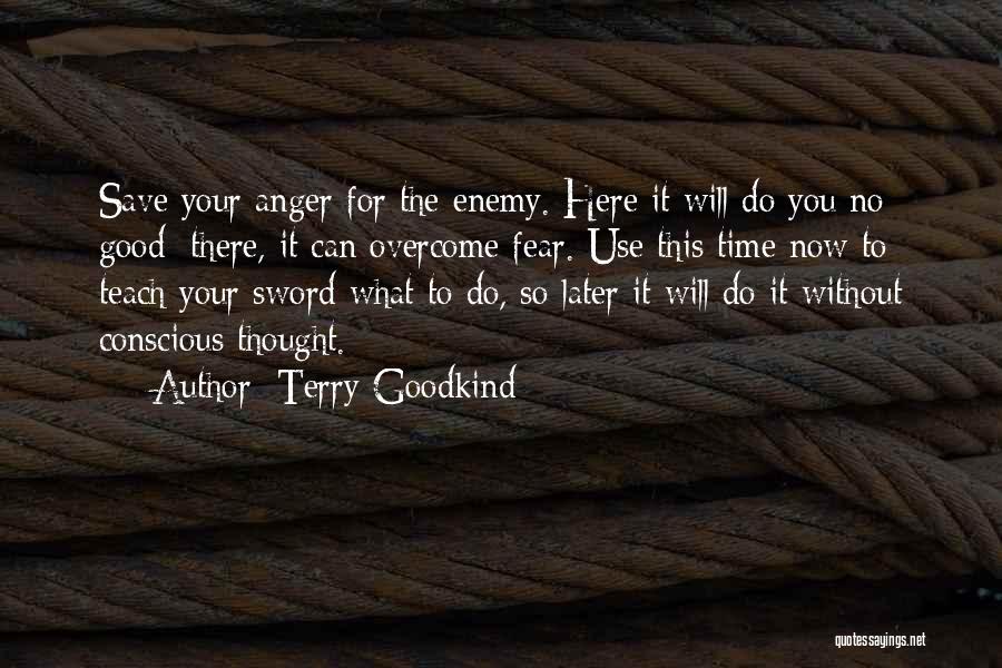 No Time For Enemy Quotes By Terry Goodkind