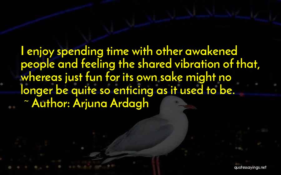 No Time For Fun Quotes By Arjuna Ardagh