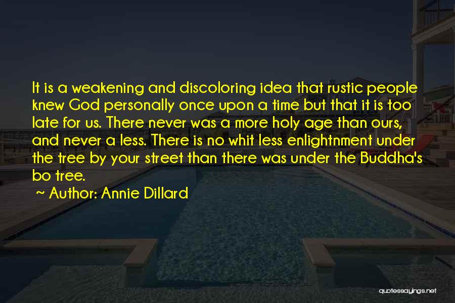 No Time For God Quotes By Annie Dillard