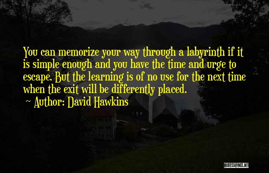 No Time For You Quotes By David Hawkins