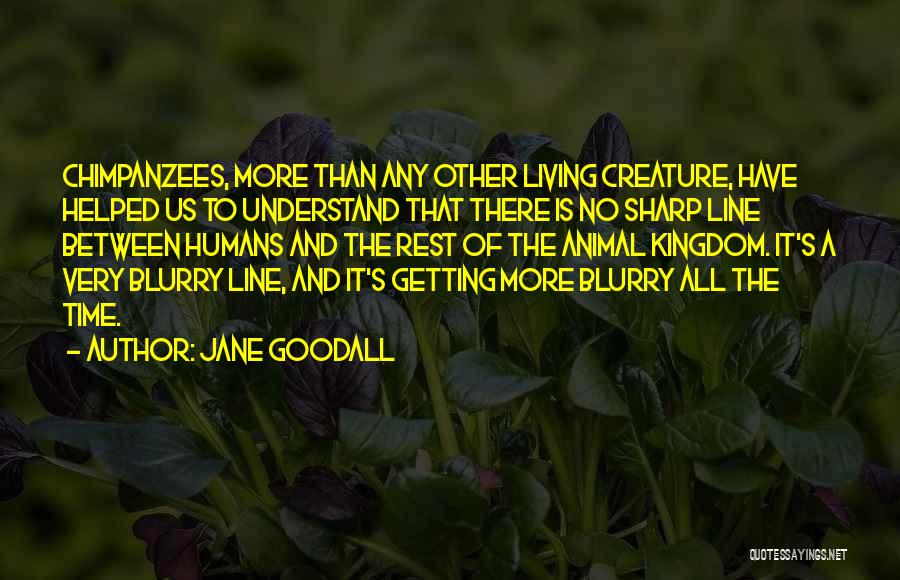 No Time To Rest Quotes By Jane Goodall