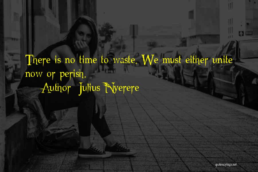 No Time To Waste Quotes By Julius Nyerere