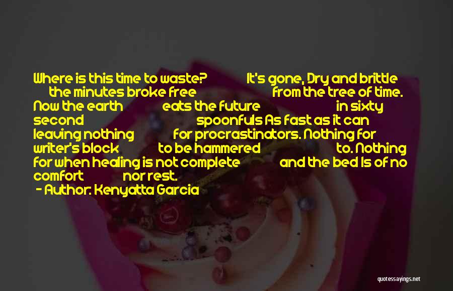 No Time To Waste Quotes By Kenyatta Garcia