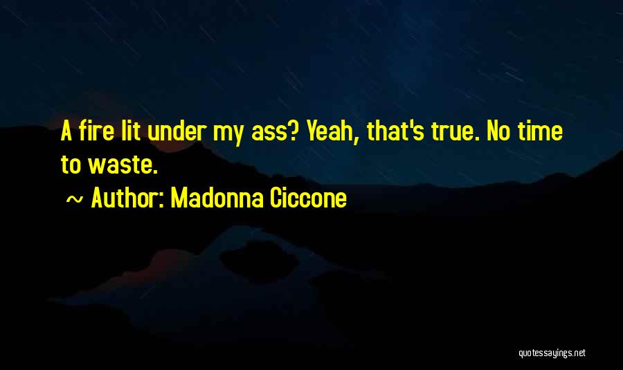 No Time To Waste Quotes By Madonna Ciccone