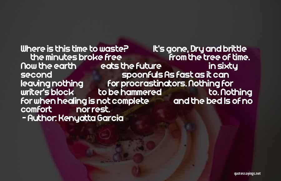 No Time Waste Quotes By Kenyatta Garcia