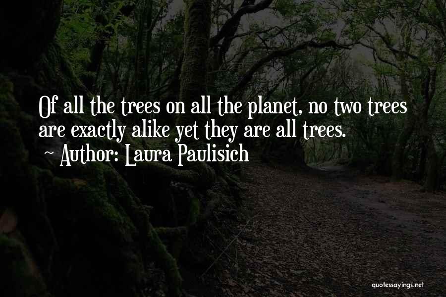 No Two Alike Quotes By Laura Paulisich