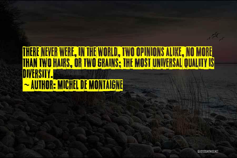 No Two Alike Quotes By Michel De Montaigne