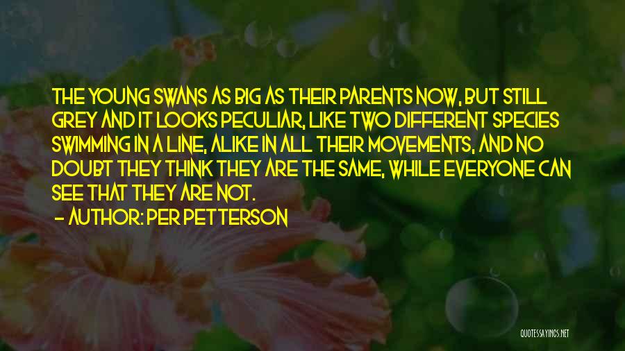 No Two Alike Quotes By Per Petterson