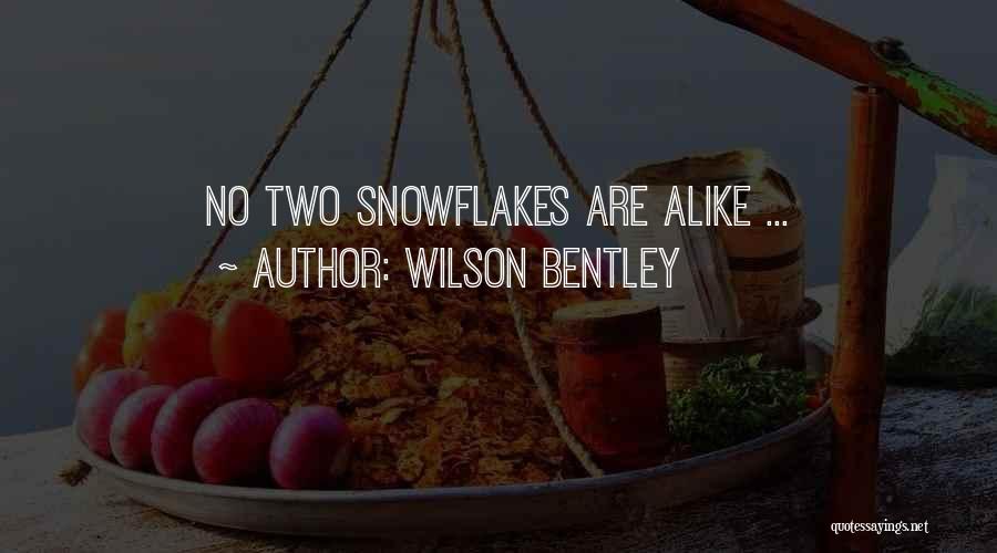 No Two Alike Quotes By Wilson Bentley